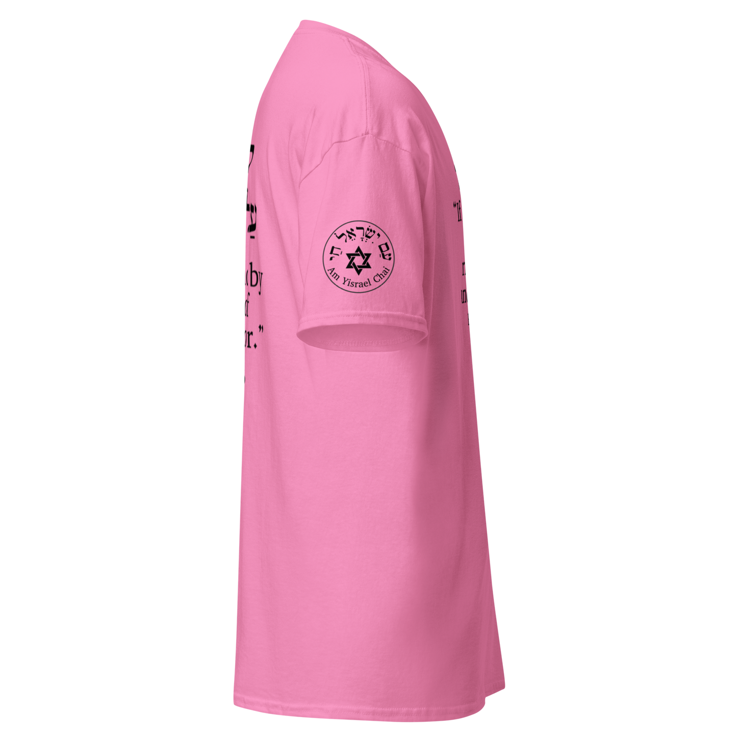 “Rise and Defend” Hebrew Scripture T-Shirt