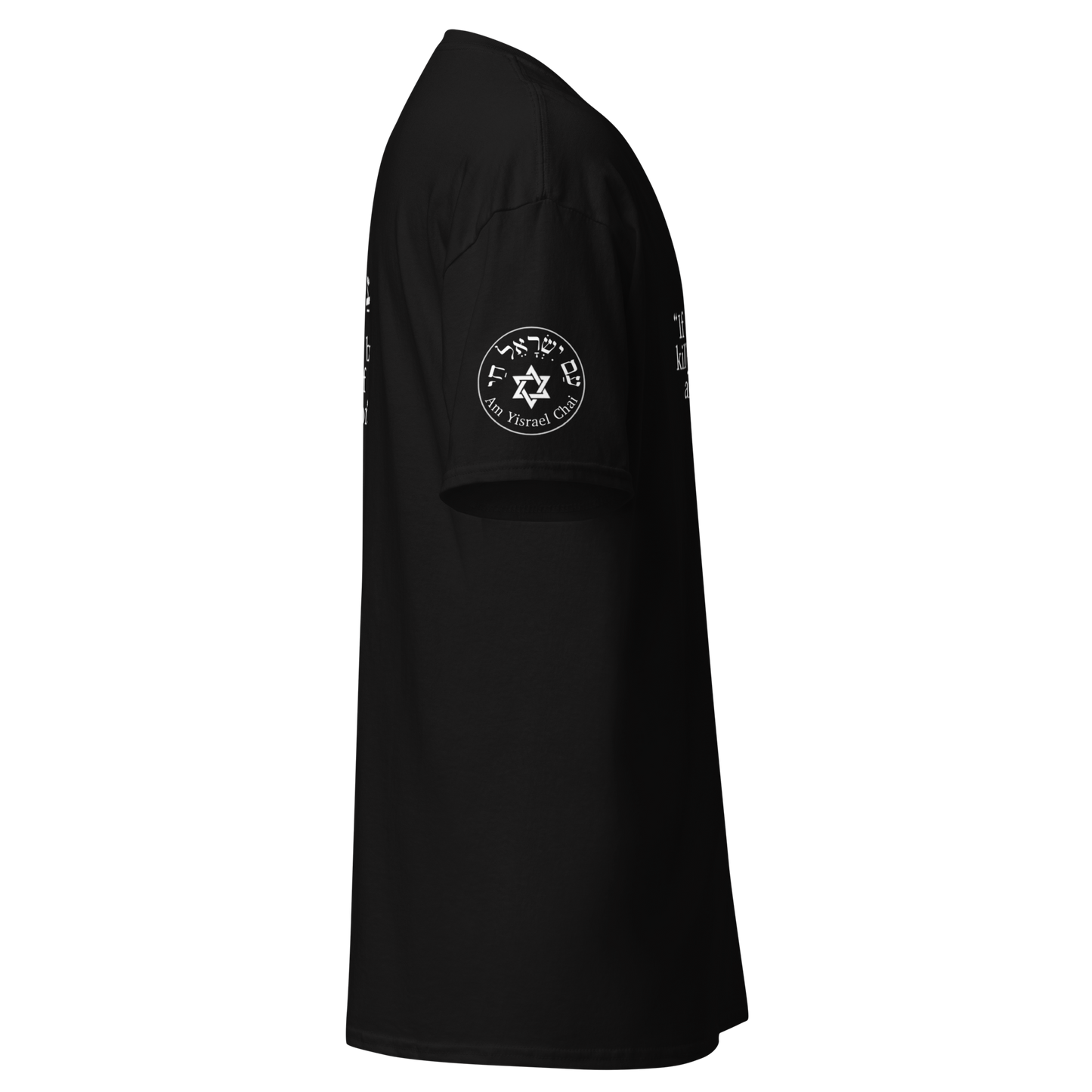 Sanhedrin and Leviticus