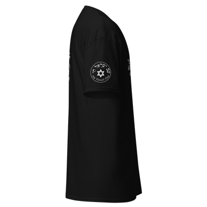 Sanhedrin and Leviticus