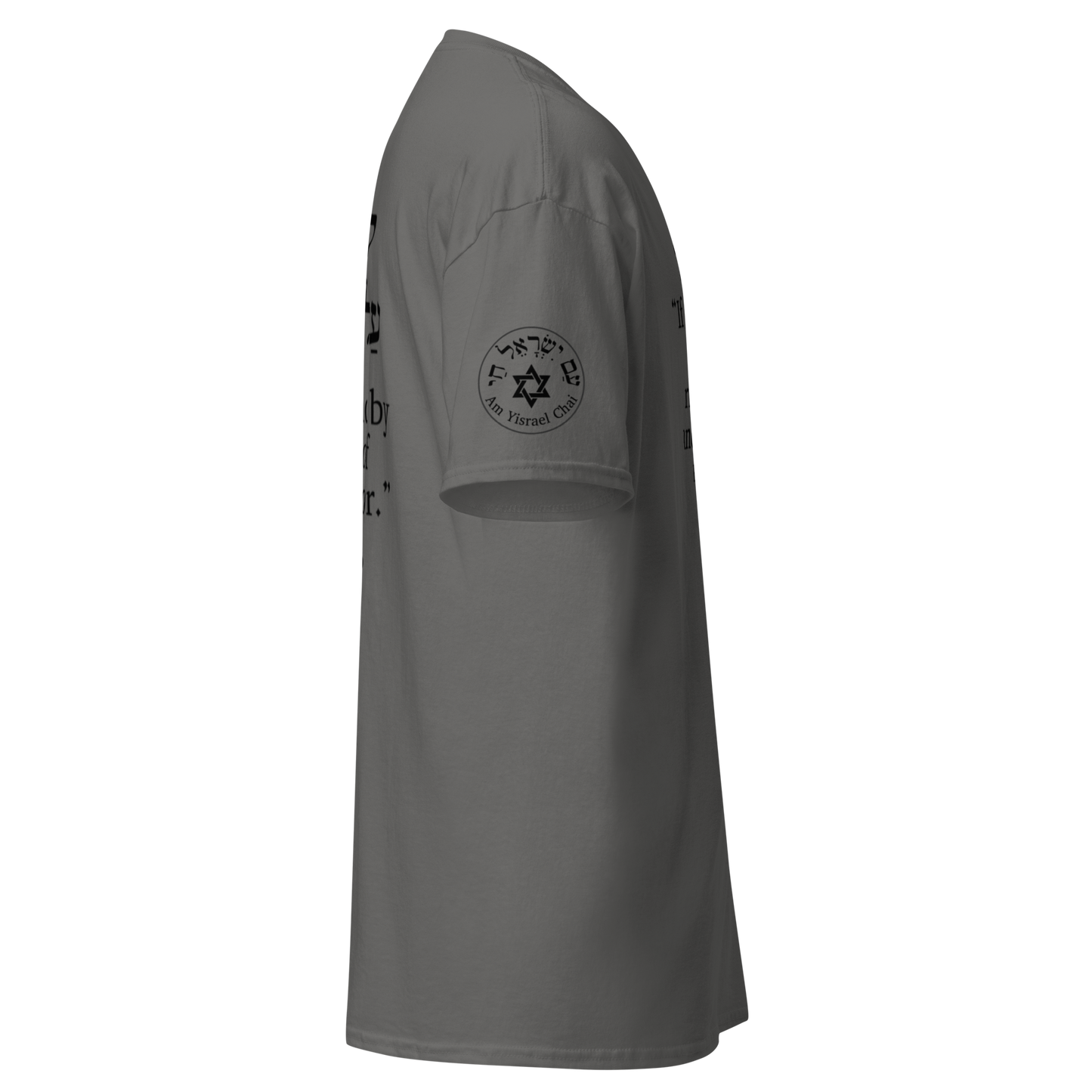 “Rise and Defend” Hebrew Scripture T-Shirt