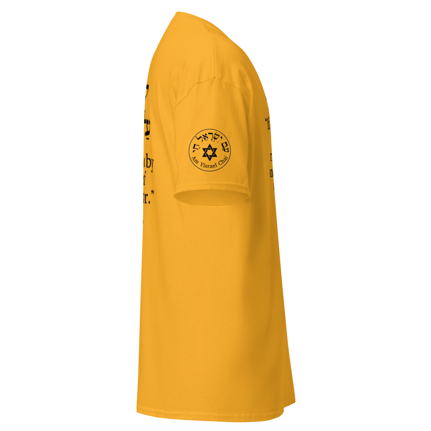 “Rise and Defend” Hebrew Scripture T-Shirt