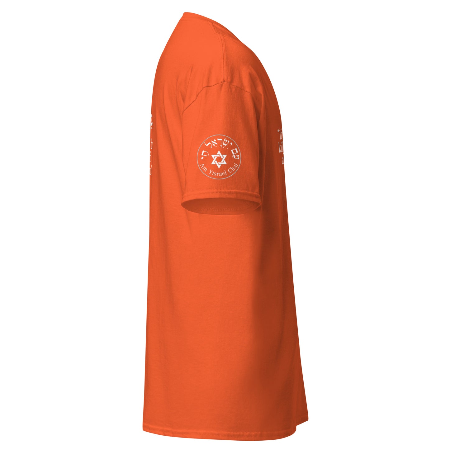 Sanhedrin and Leviticus