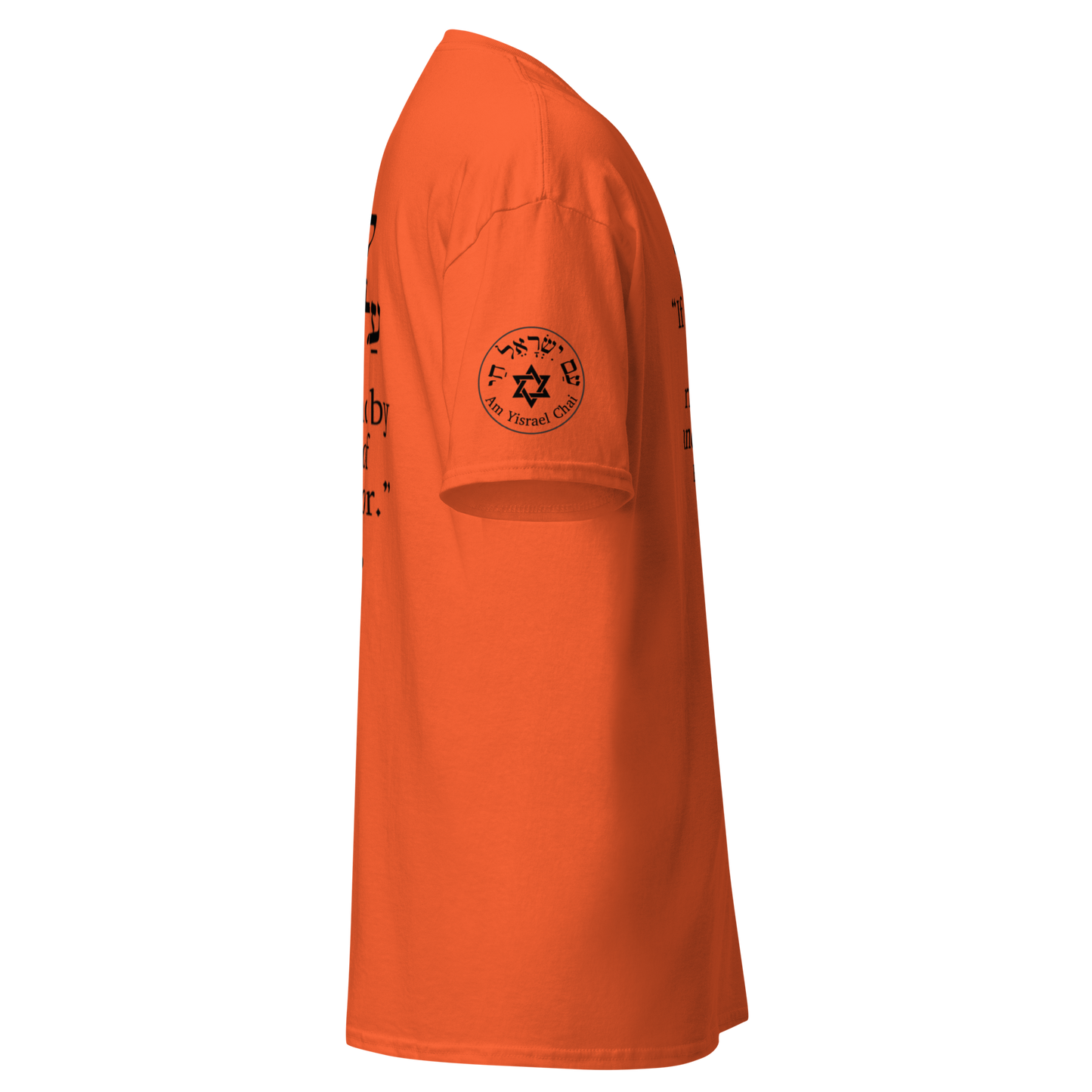 “Rise and Defend” Hebrew Scripture T-Shirt