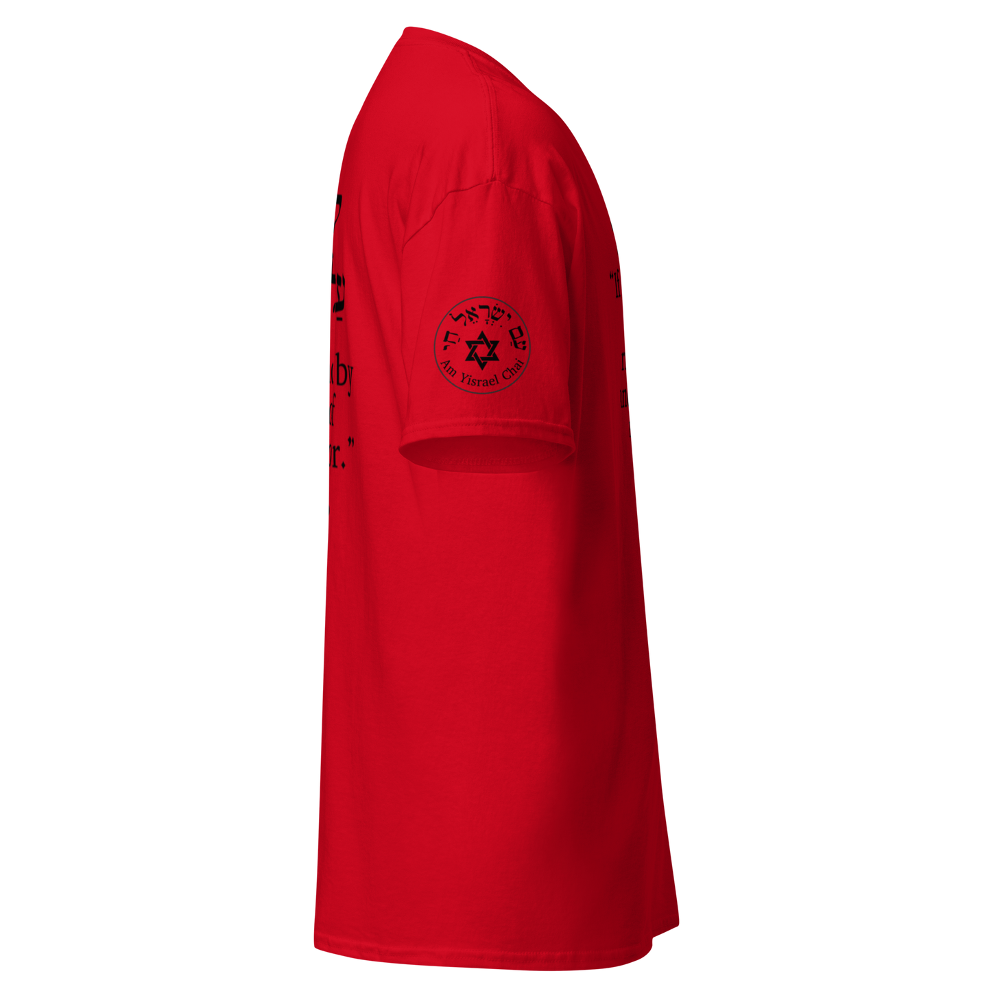 “Rise and Defend” Hebrew Scripture T-Shirt