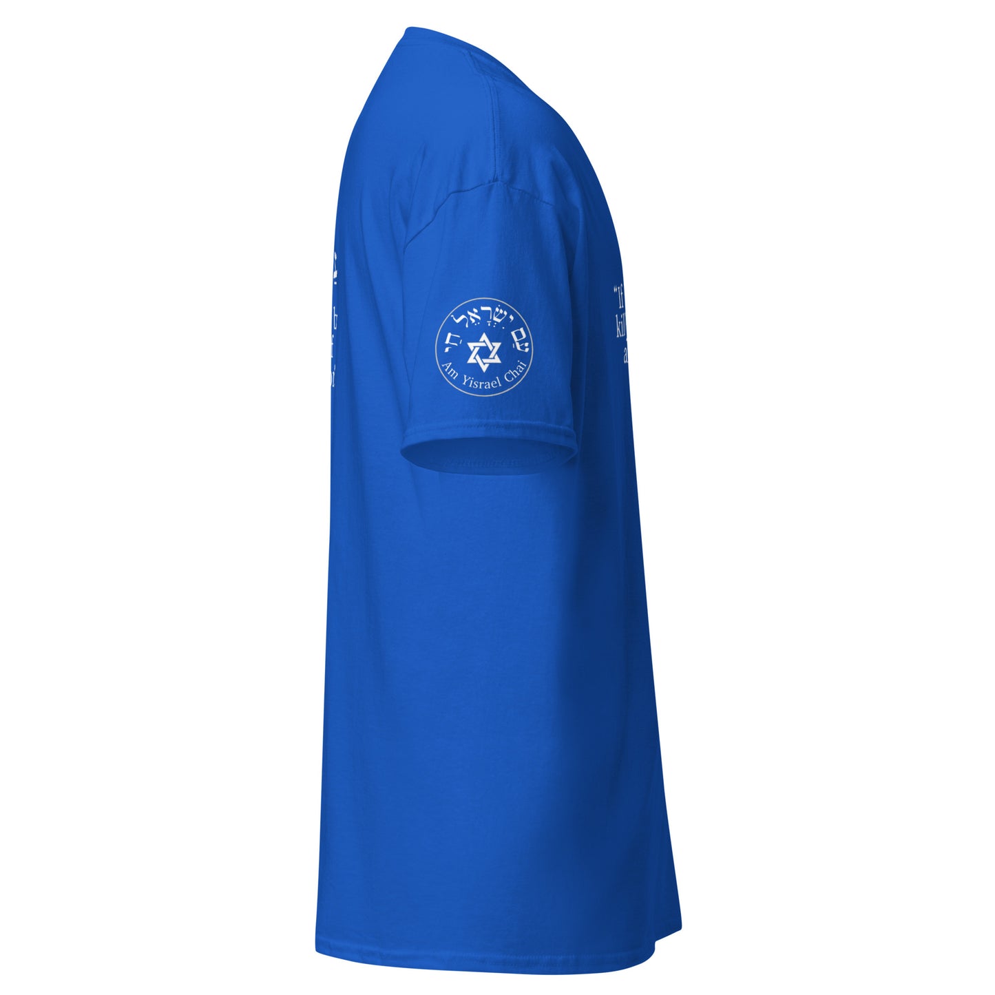 Sanhedrin and Leviticus