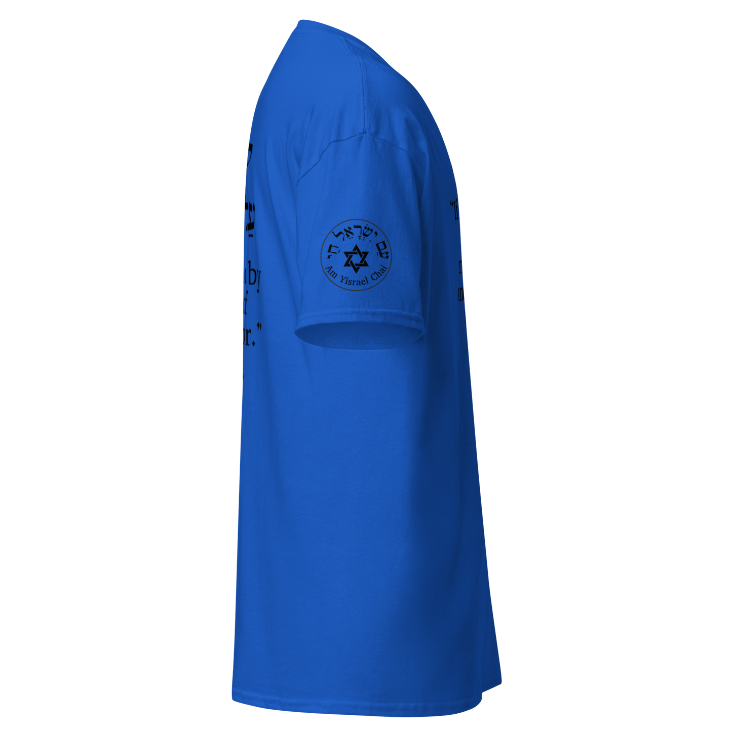 “Rise and Defend” Hebrew Scripture T-Shirt