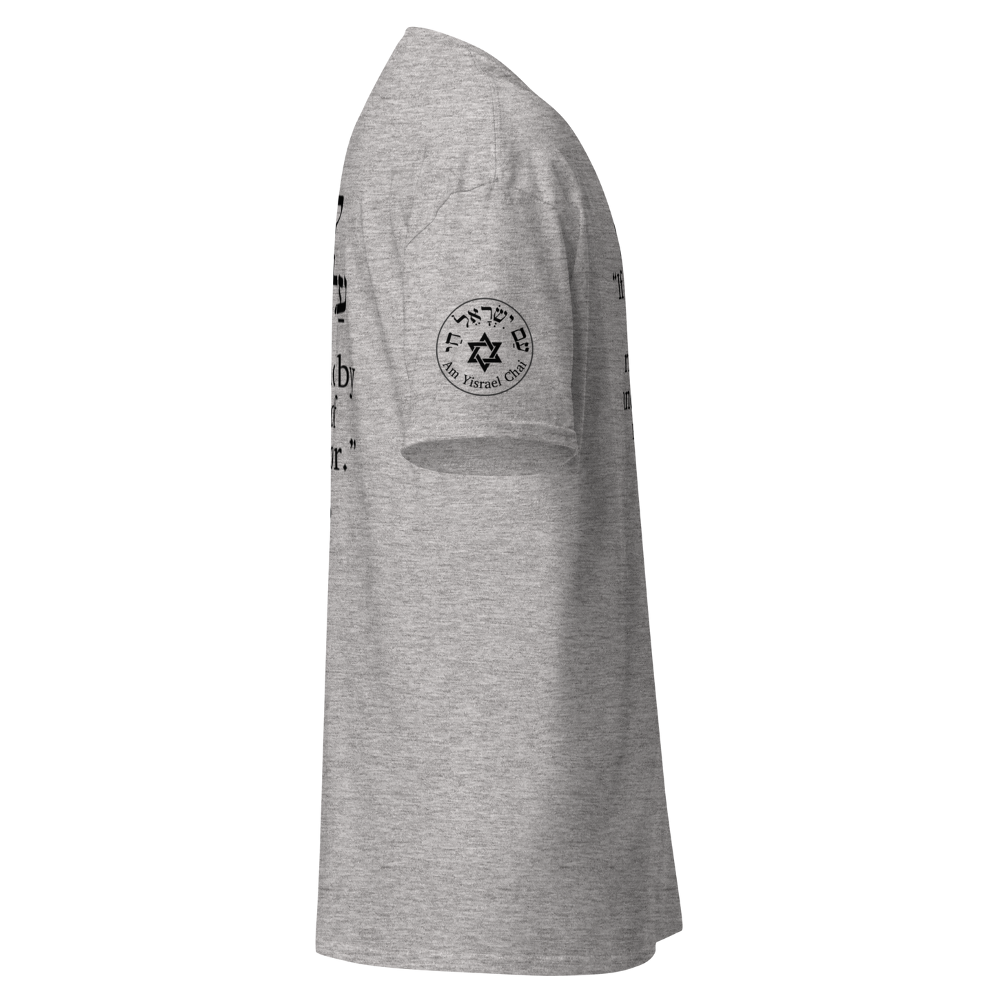 “Rise and Defend” Hebrew Scripture T-Shirt