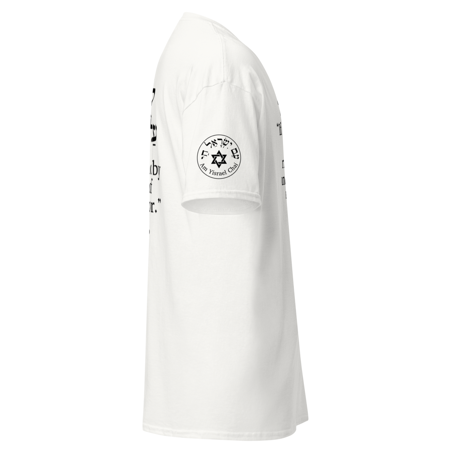 “Rise and Defend” Hebrew Scripture T-Shirt